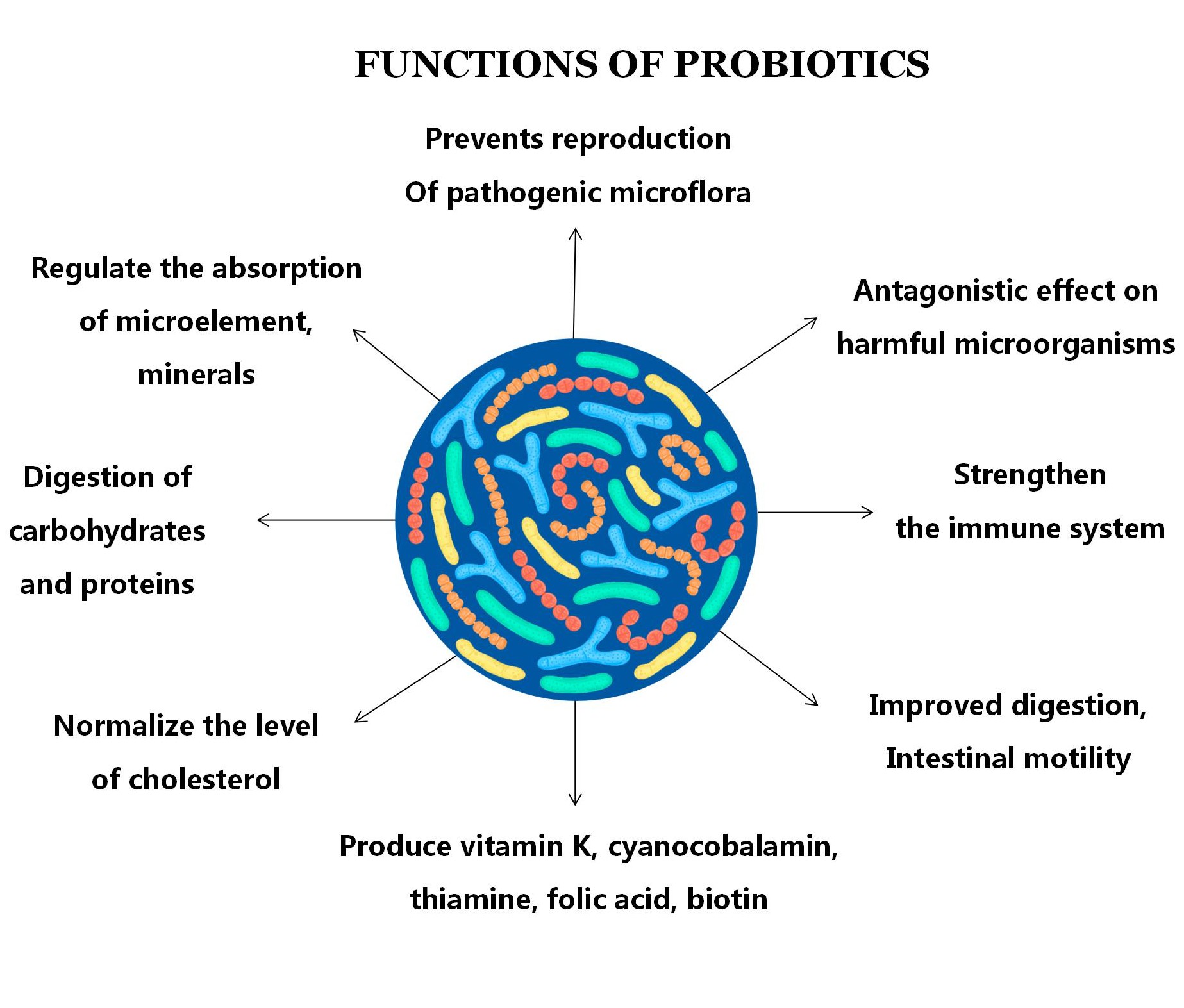 Bubuk Probiotik Lactobacillus Bifidobacterium Lactis